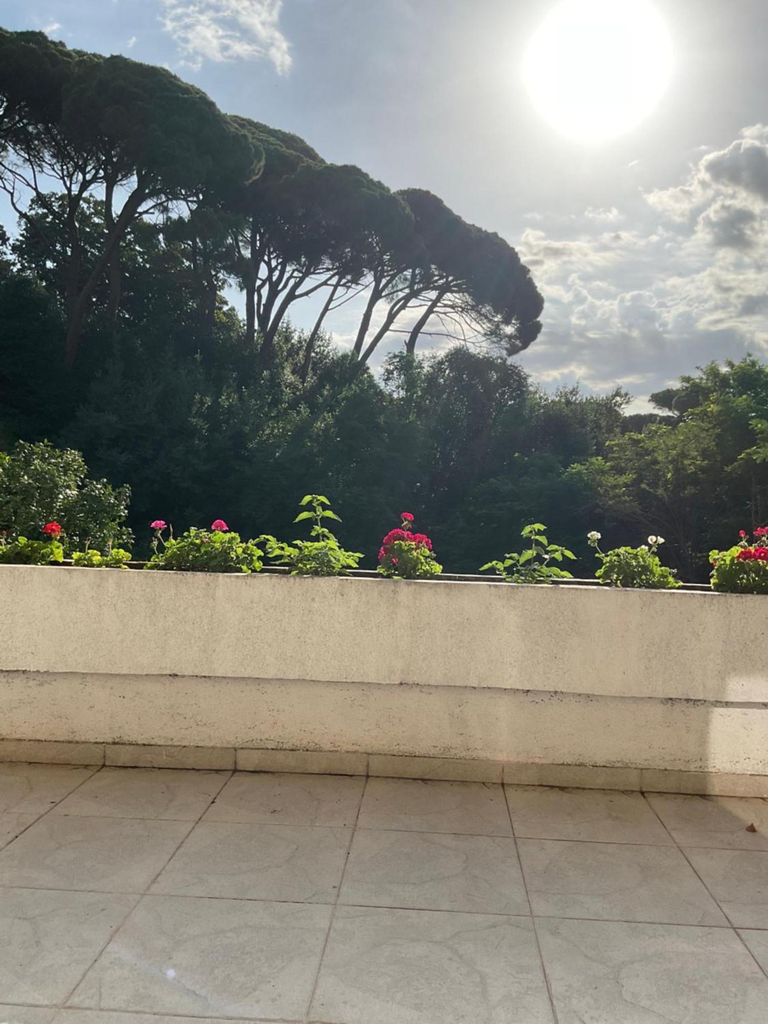 Villa Monte Boutique Apartments In Herceg Novi Luaran gambar