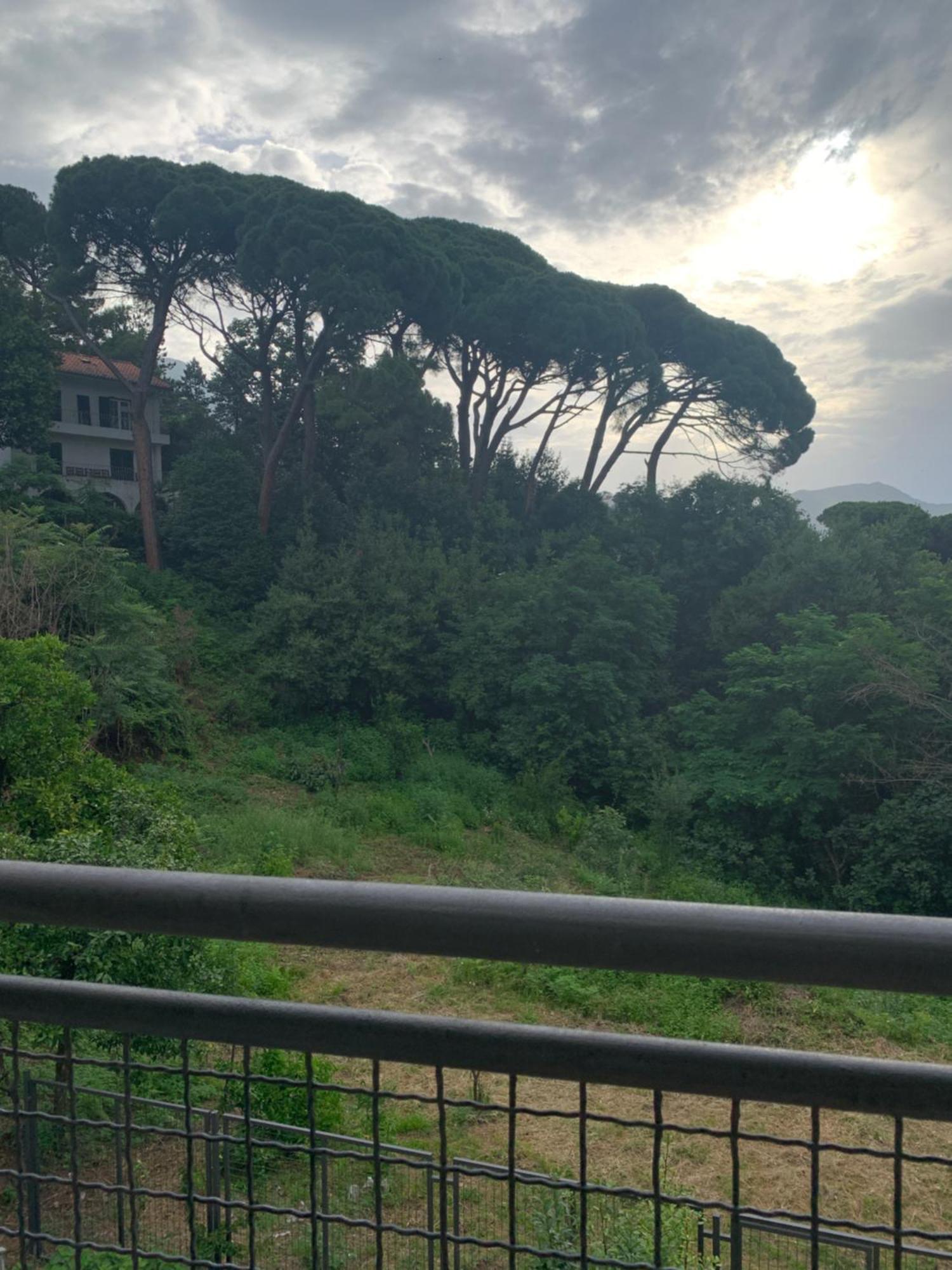 Villa Monte Boutique Apartments In Herceg Novi Luaran gambar