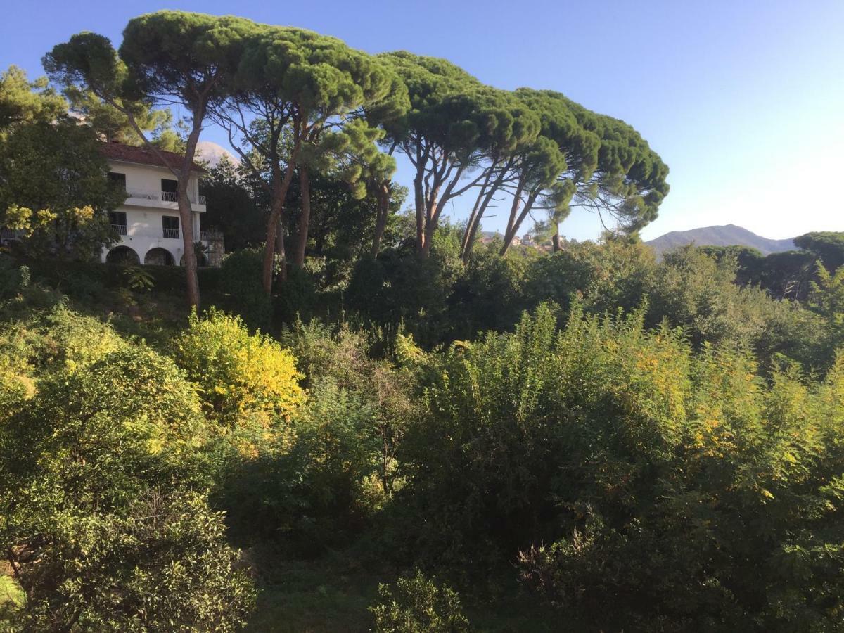 Villa Monte Boutique Apartments In Herceg Novi Luaran gambar